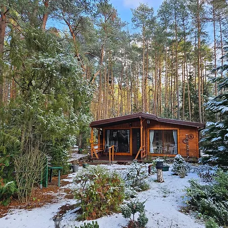 Villa Homewood - Popowo Letnisko *