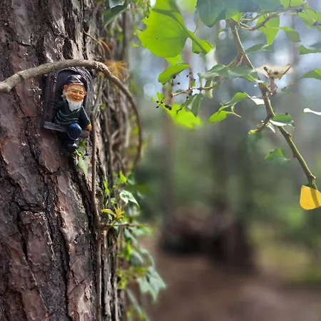 Homewood - Popowo Letnisko