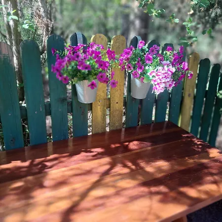 Homewood - Popowo Letnisko *