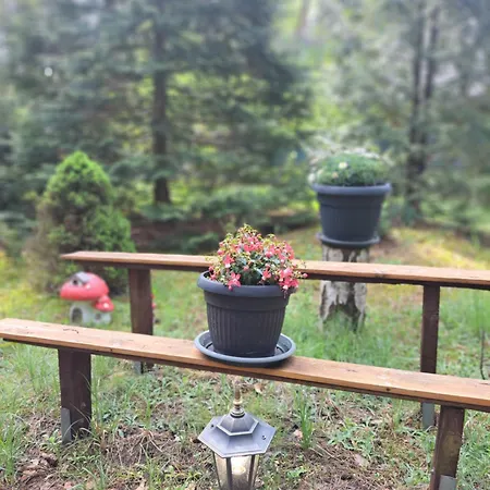 Villa Homewood - Popowo Letnisko