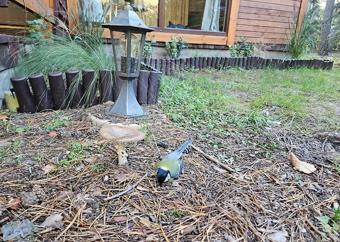 Homewood - Popowo Letnisko *