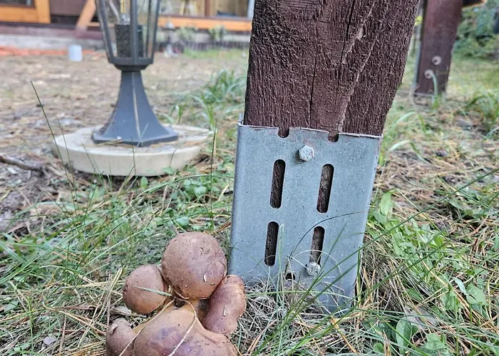 Homewood - Popowo Letnisko