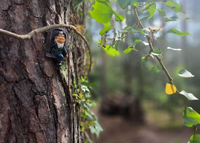 Homewood - Popowo Letnisko