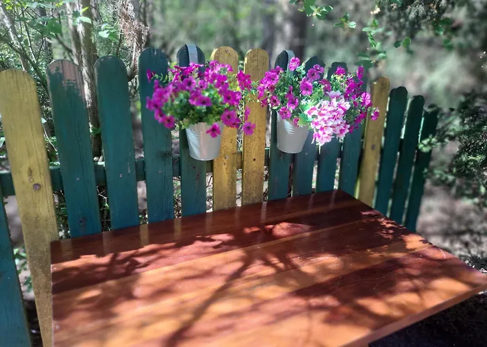 Homewood - Popowo Letnisko *