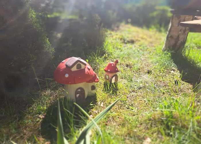 Homewood - Popowo Letnisko *