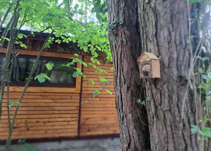 Homewood - Popowo Letnisko Villa *