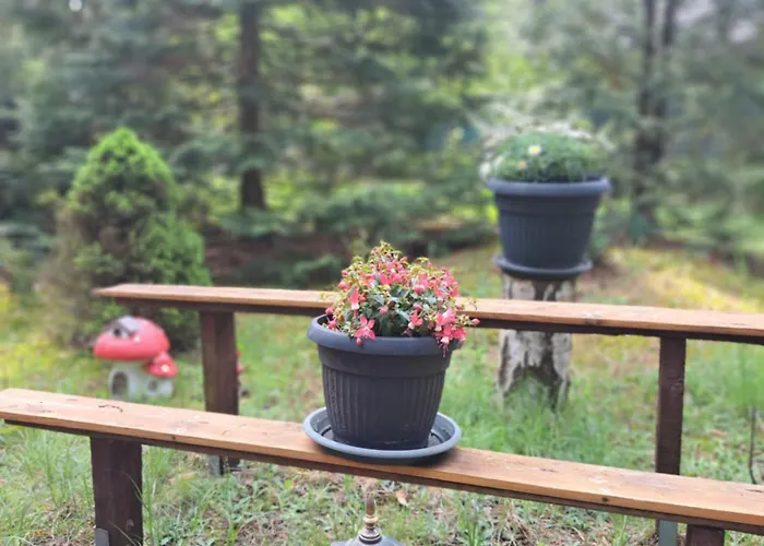 Villa Homewood - Popowo Letnisko