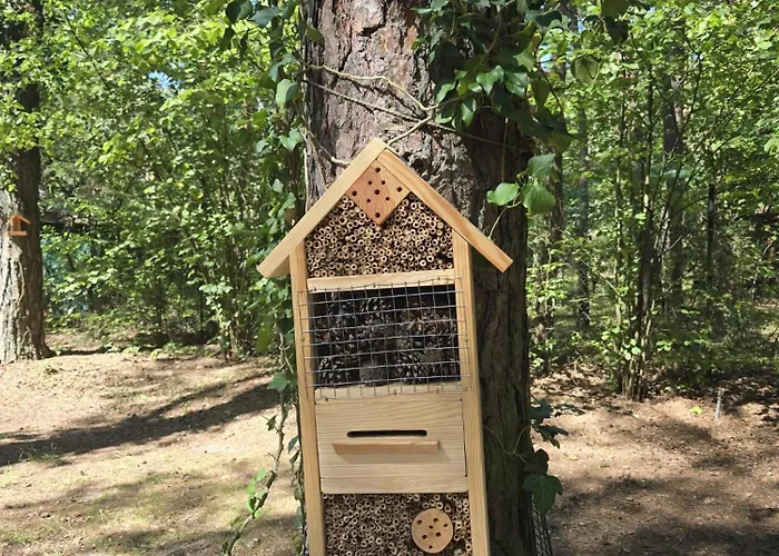 Villa Homewood - Popowo Letnisko Gasiorowo (Legionowo)